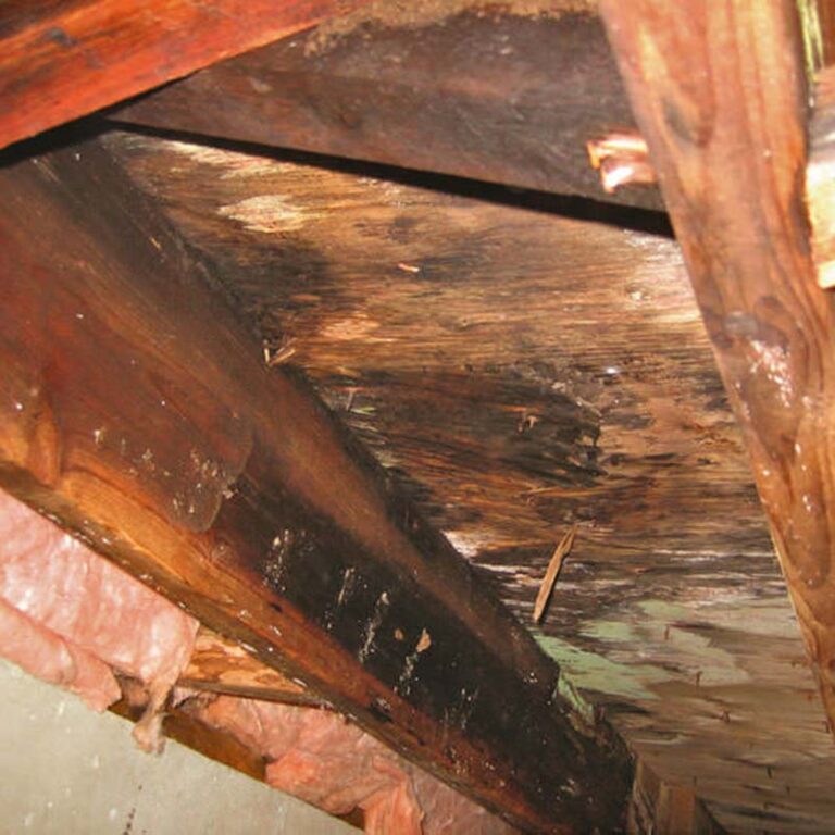 water damage below a bathroom caused by a plumbing leak or faulty caulking