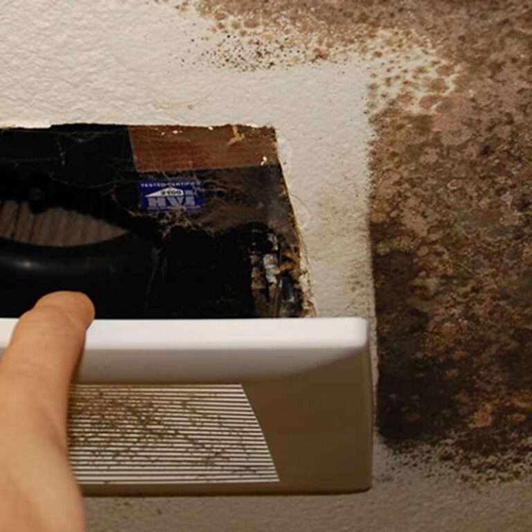 bathroom fan with mold