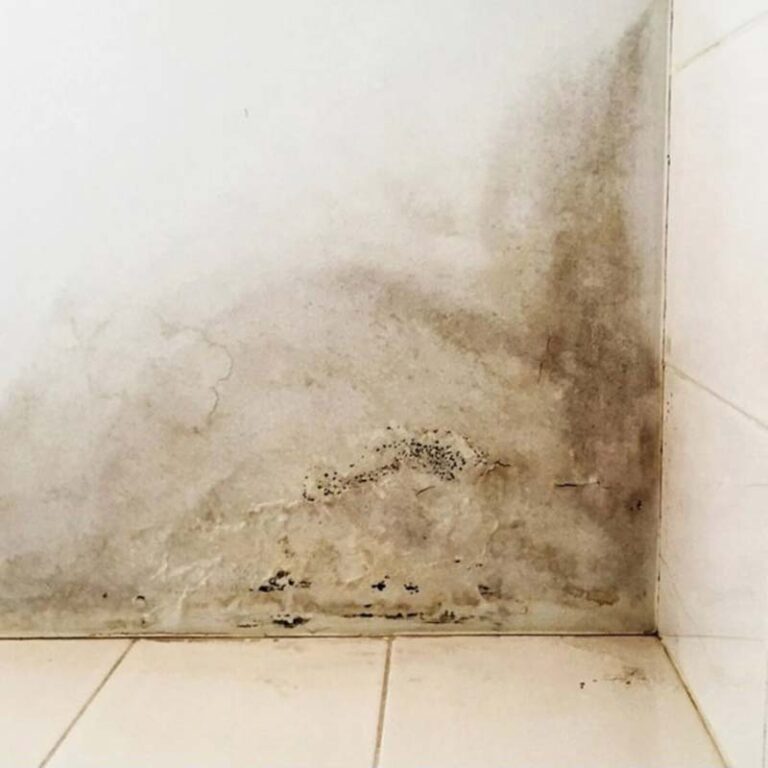 signs of water damage on the interior walls