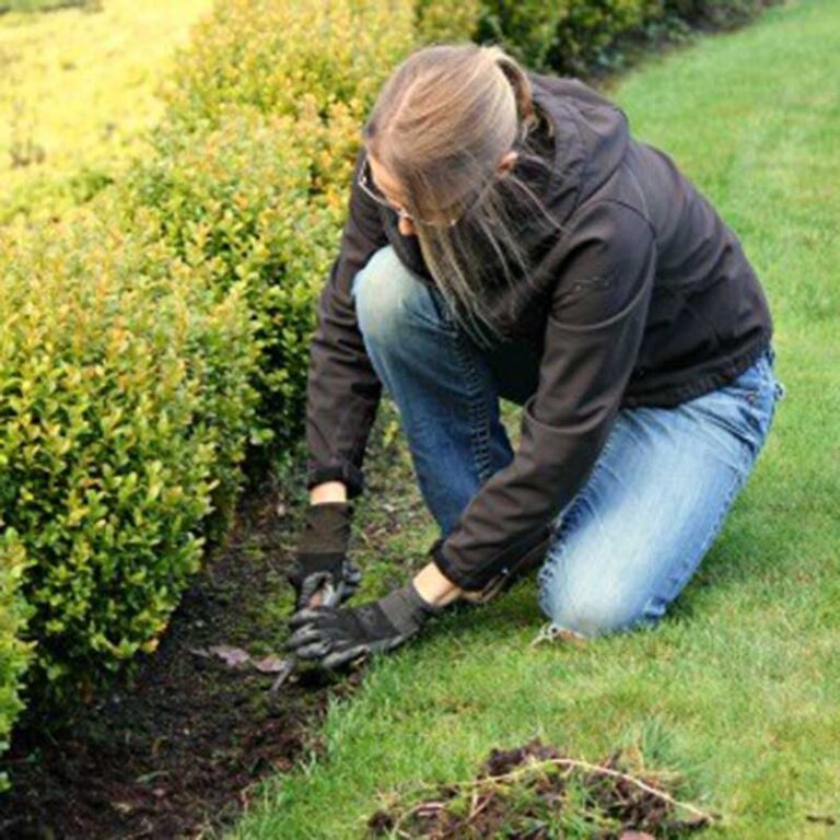 Pull weeds out by hand rather than using chemicals. This is something to do every spring. Add mulch to keep them from growing back