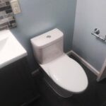 Bathroom-remodel-new-toilet-and-flooring